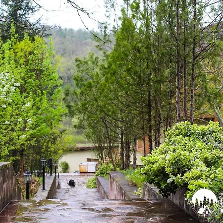 комплекс сборяна